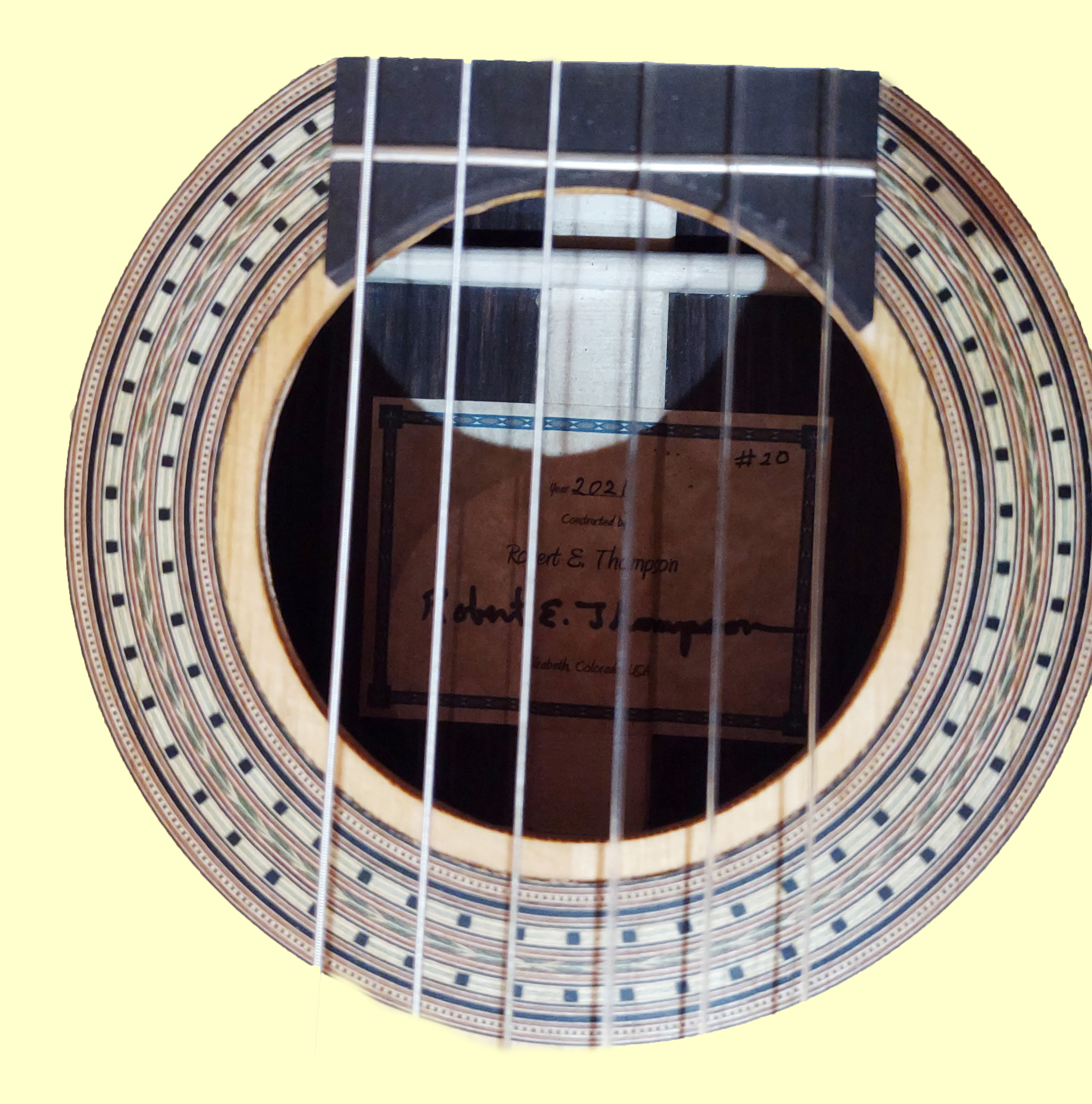 thompson20 rosette
